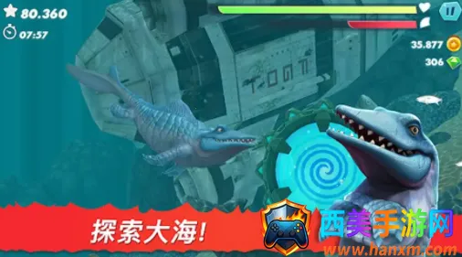 鲨鱼进化模拟器2025下载安装 鲨鱼进化模拟器2025下载安装