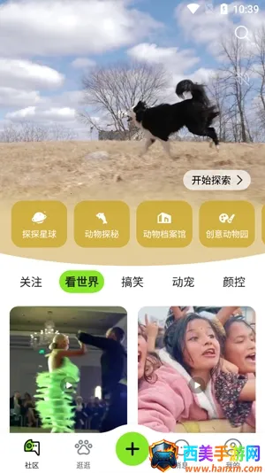 探奇动物界安卓版手机版 探奇动物界安卓版手机版