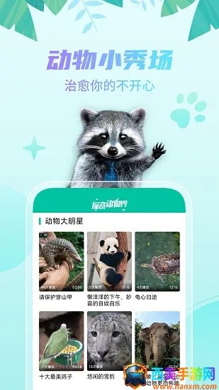 探奇动物界安卓版手机版 探奇动物界安卓版手机版