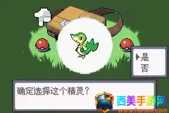 口袋妖怪漆黑的魅影2025下载安装 口袋妖怪漆黑的魅影2025下载安装