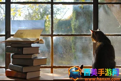 枕阅小说最新手机版 枕阅小说最新手机版