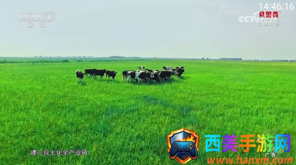 你的电视2025官方正版 你的电视2025官方正版