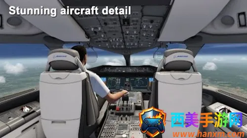 Aerofly FS2025官方正版 Aerofly FS2025官方正版