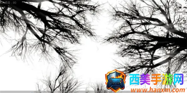 故事里的秘密最新手机版 故事里的秘密最新手机版