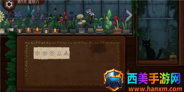 ����԰��(ֲ�������Ϸ)