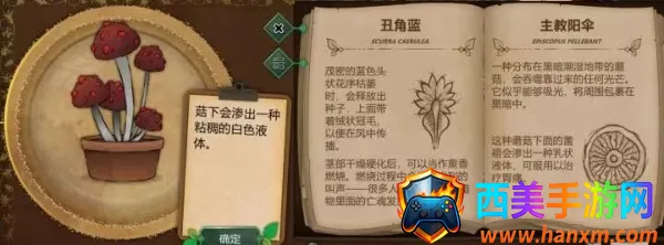 ����԰��(ֲ�������Ϸ)