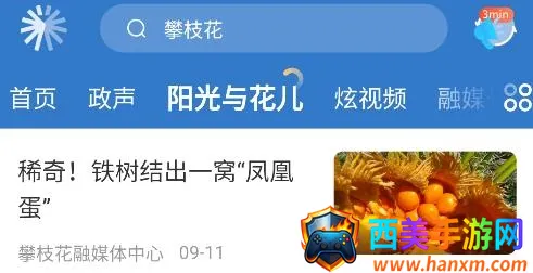 ��֦����(��֦����Ѷƽ̨)