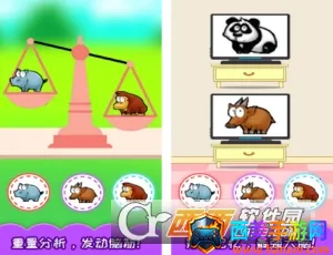 儿童左右脑大训练2025官方正版 儿童左右脑大训练2025官方正版