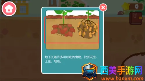 �����������2025�ٷ����°汾