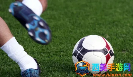 ��������2026�ٷ�����