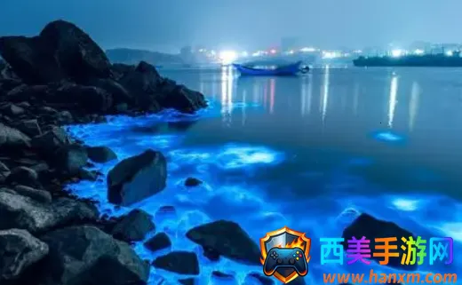 ƽ̶��2026���°汾