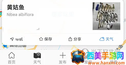 ��������ֻ���