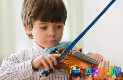 �ֿ�����2026���°汾