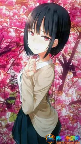 ����С����2026���°汾