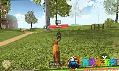 ����һֻ��2026�ٷ�����