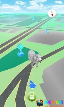 PUPPY GO(�˶���������)