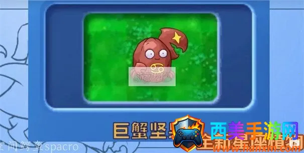 植物大战僵尸星座版PC电脑版下载安卓版手机版 植物大战僵尸星座版PC电脑版下载安卓版手机版