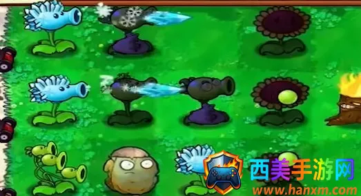 ֲ���ս��ʬ�ڹ�(�����ڹ���Ϸ)