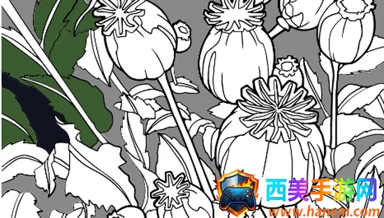 �滭��ʦ2026�ٷ�����