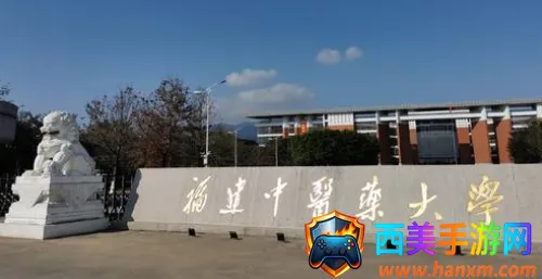 萝卜奔安卓版手机版 萝卜奔安卓版手机版