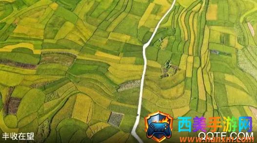 新华社2026官方正版 新华社2026官方正版