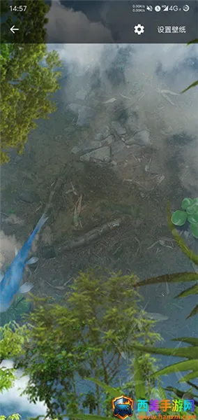 ��ض�̬��ֽ2026���ذ�װ