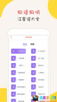 ���﷭����2026�ٷ����°汾