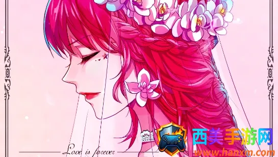 ��̬��ֽ����