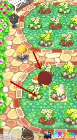 ����֮ɭ�ڴ�¶Ӫ2026���°汾