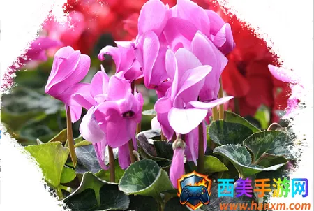 ���ݻ���ƽ̨��ҵ�˰�׿���ֻ���