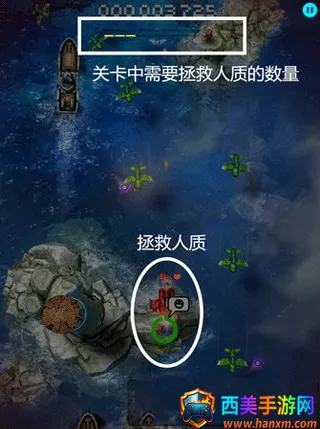 傲气雄鹰 傲气雄鹰