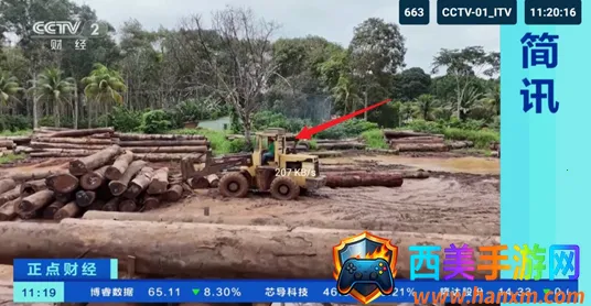 èTV�����2026���°汾