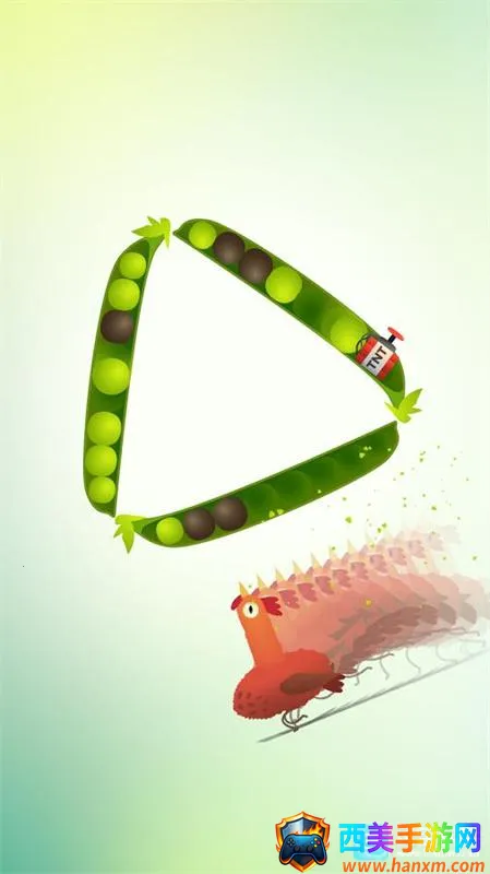 ���ĸ���