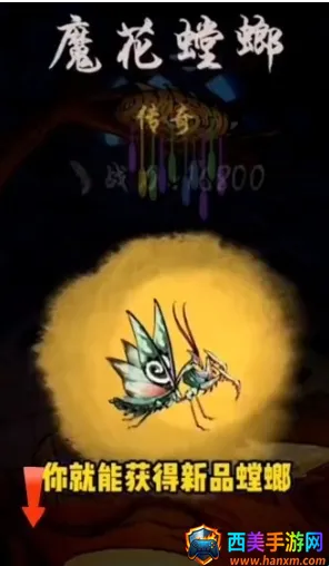 极品螳螂2026官方正版 极品螳螂2026官方正版