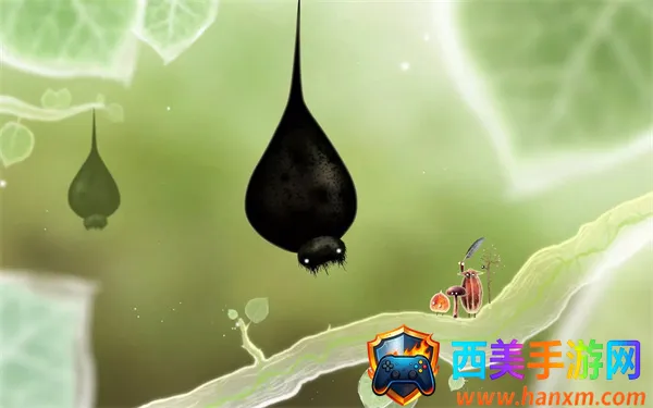 botanicula������