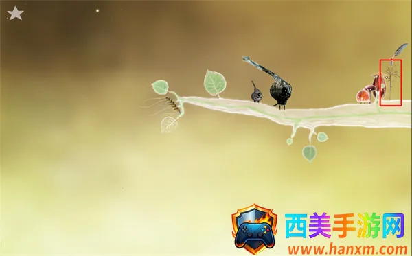 botanicula��׿������