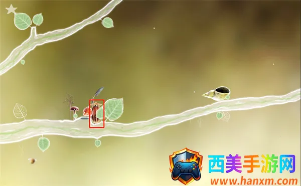 botanicula����