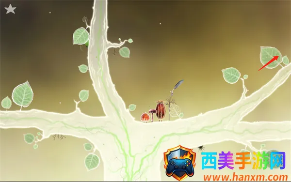 botanicula����