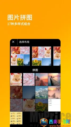 ˢ��Ȧ����