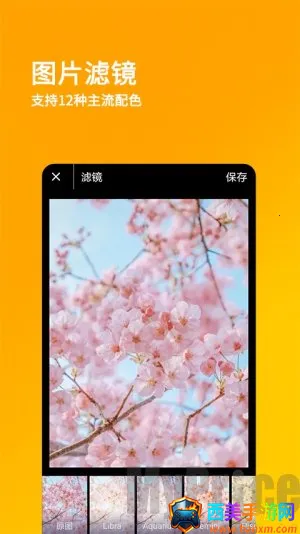 ˢ��Ȧ����