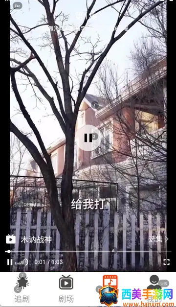 淘淘视频 淘淘视频