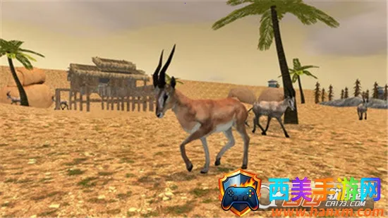 ���˹�����ʦ2026���ذ�װ