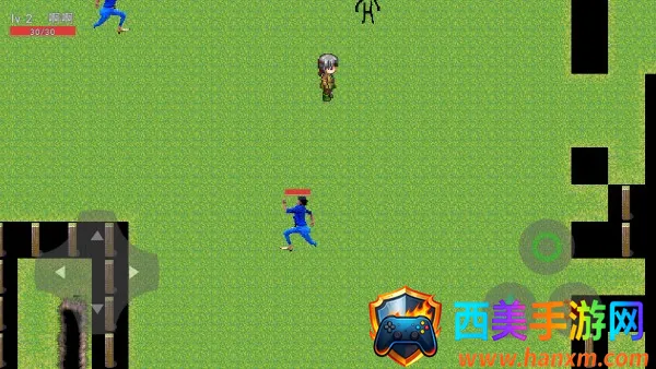 ��ɫ����