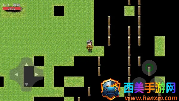 ��ɫ����