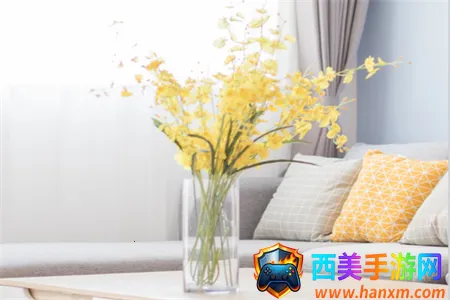 ����������ʦ�����ֻ���