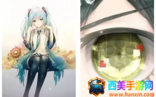 �ڰ׶���2026�ٷ����°汾