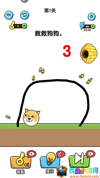 我的狗狗 我的狗狗