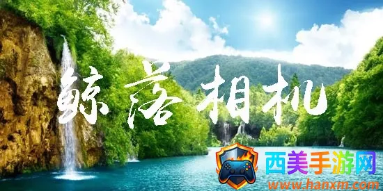 鲸落相机2026最新版本 鲸落相机2026最新版本