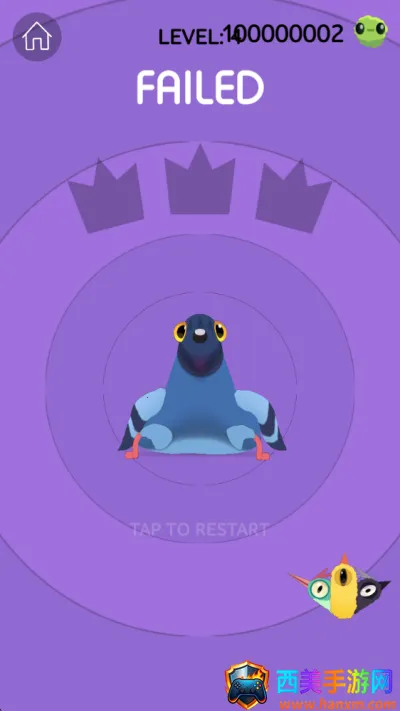 pigeon���ĸ���