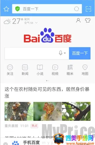 ��ӥ������������